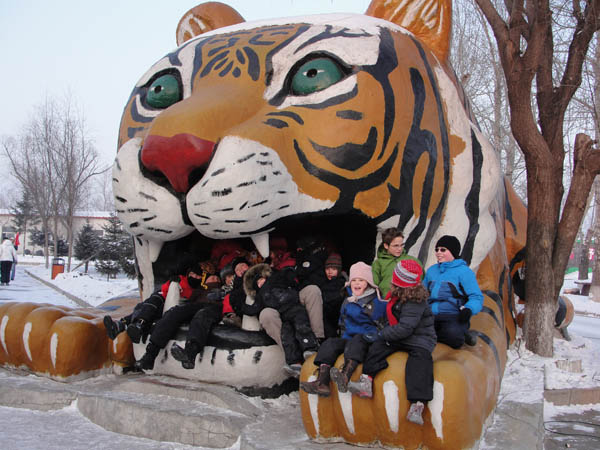 Have fun at Siberian Tiger Park